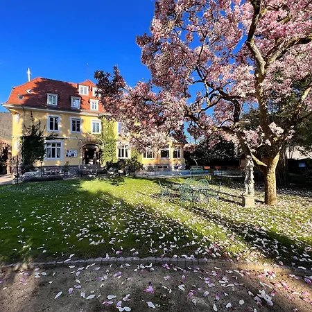 Restaurant Du Parc Thann