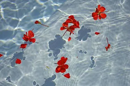 Restaurant Du Parc ホテル 3*